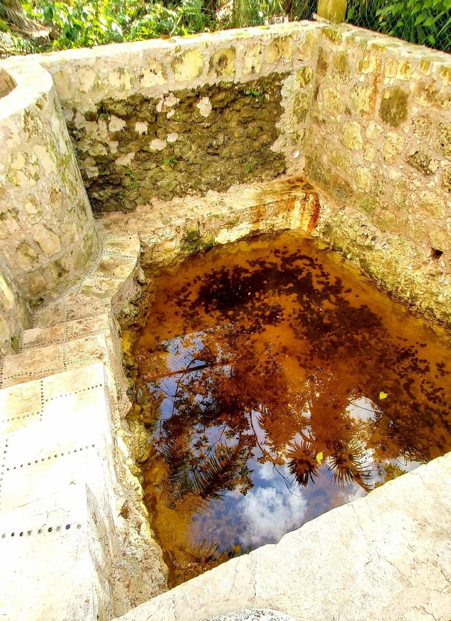 Holiday home Mini Pini Birdwatching And Cenote Loft4 Only *