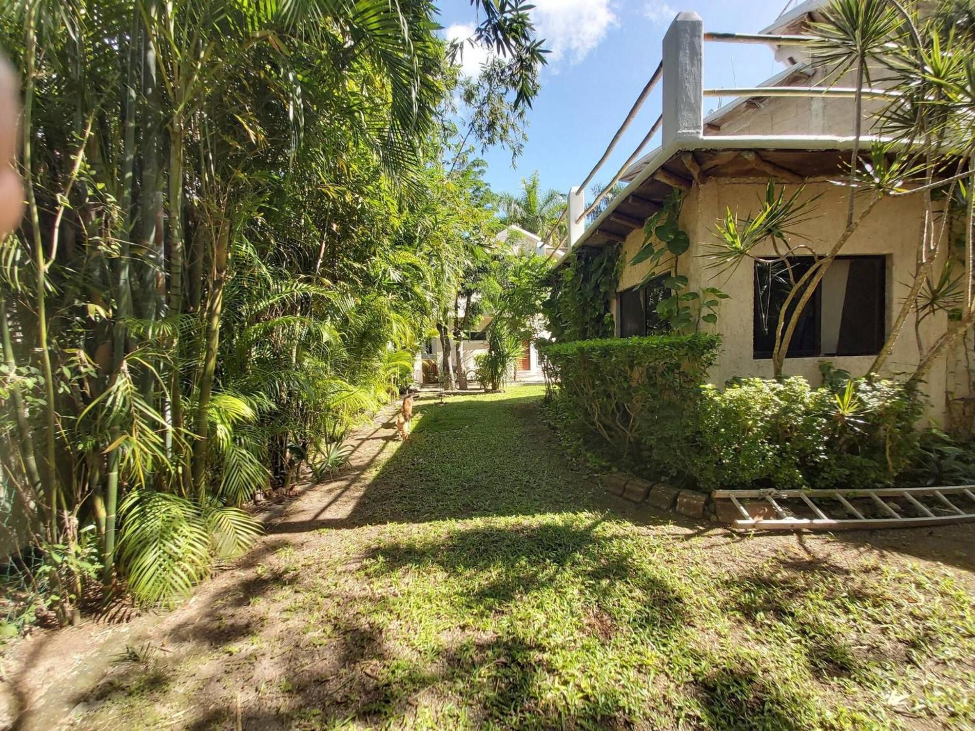 Mini Pini Birdwatching And Cenote Loft4 Only Holiday home