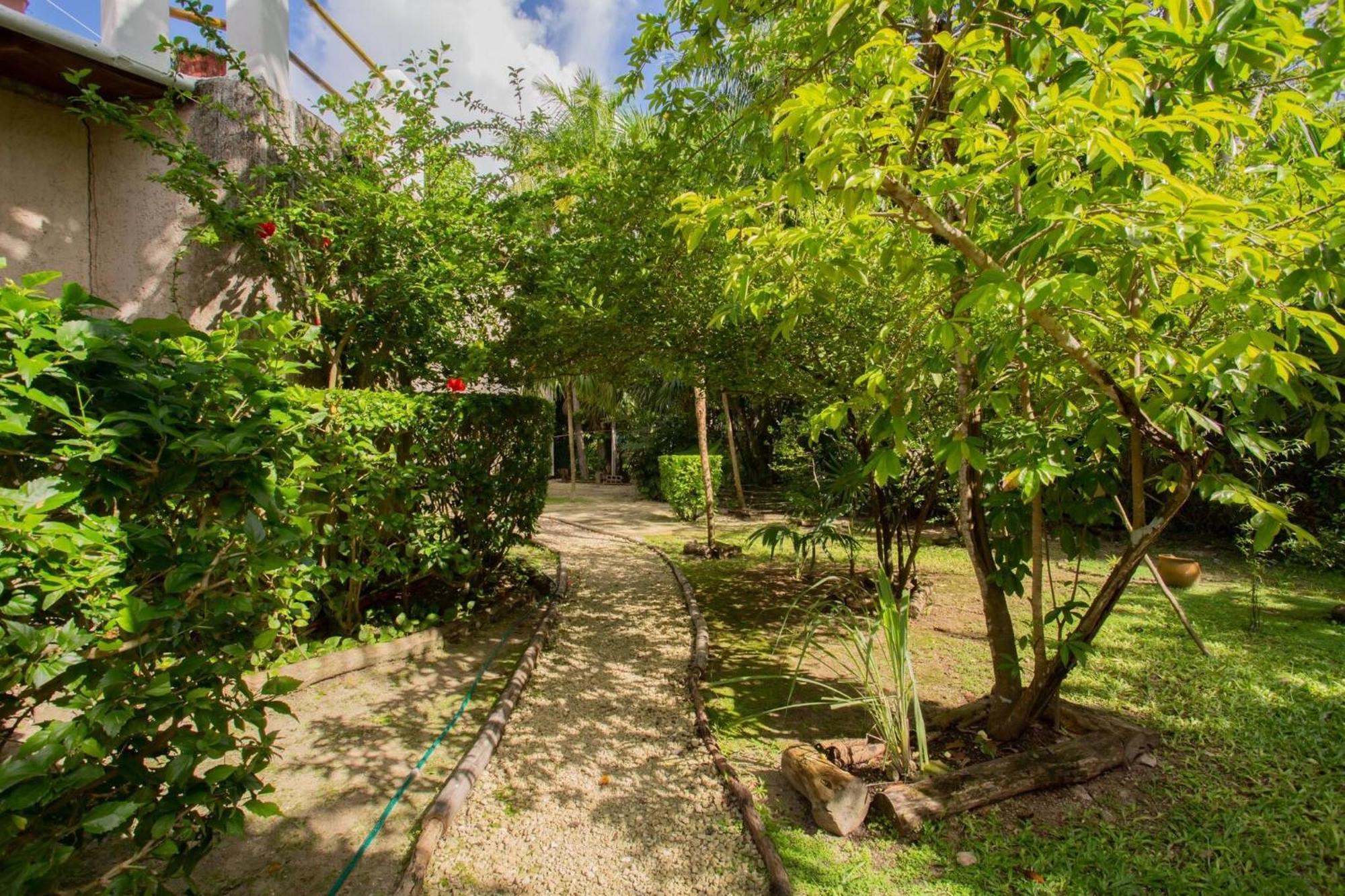 Mini Pini Birdwatching And Cenote Loft4 Only Holiday home *