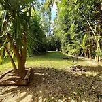 Mini Pini Birdwatching And Cenote Loft4 You Only