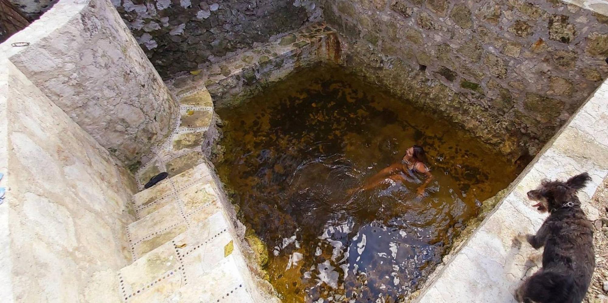 Mini Pini Birdwatching And Cenote Loft4 Only Cozumel