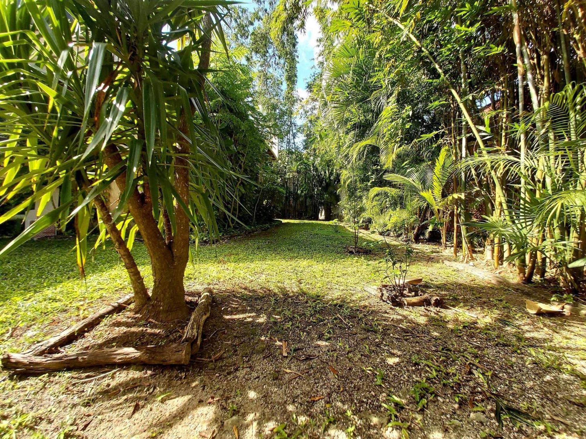 Hébergement de vacances Mini Pini Birdwatching And Cenote Loft4 Only *