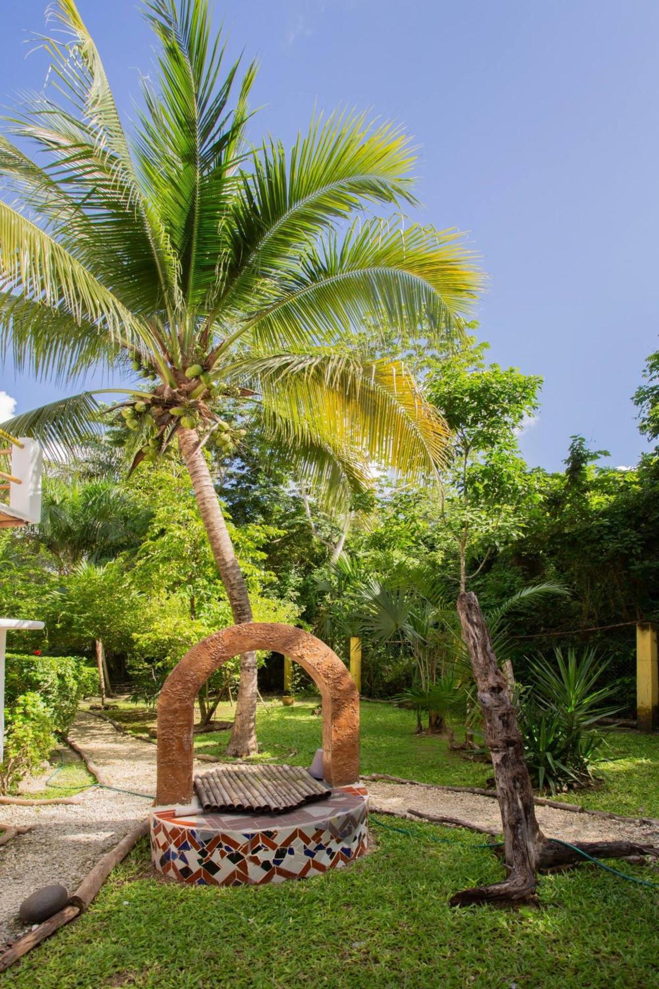 Hébergement de vacances Mini Pini Birdwatching And Cenote Loft4 Only
