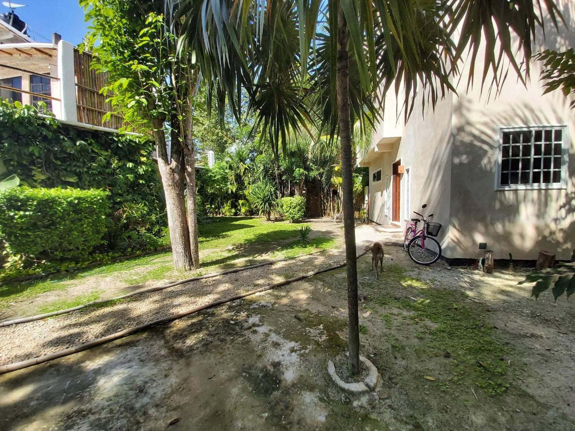Hébergement de vacances Mini Pini Birdwatching And Cenote Loft4 Only Cozumel