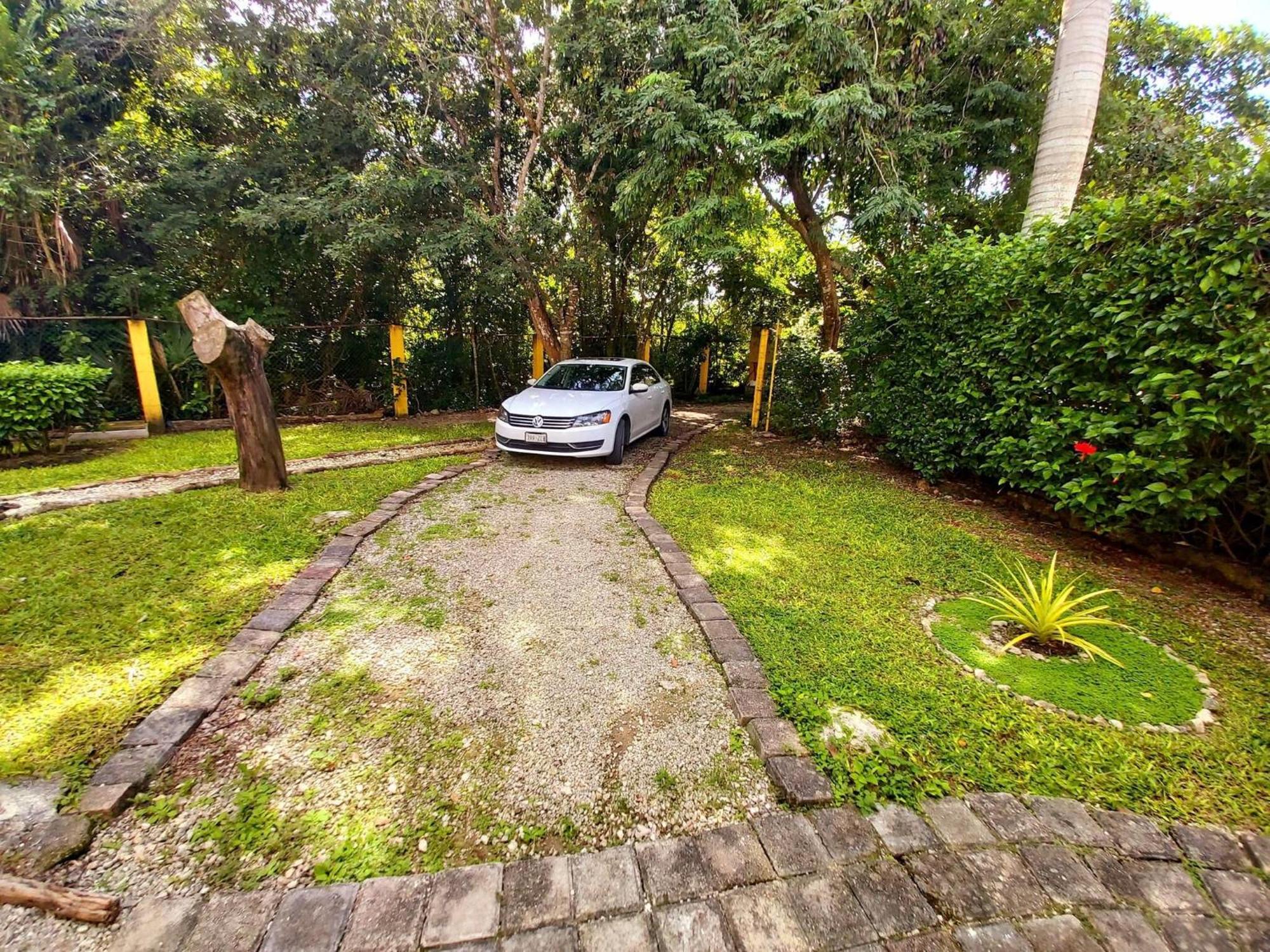 Mini Pini Birdwatching And Cenote Loft4 Only Cozumel