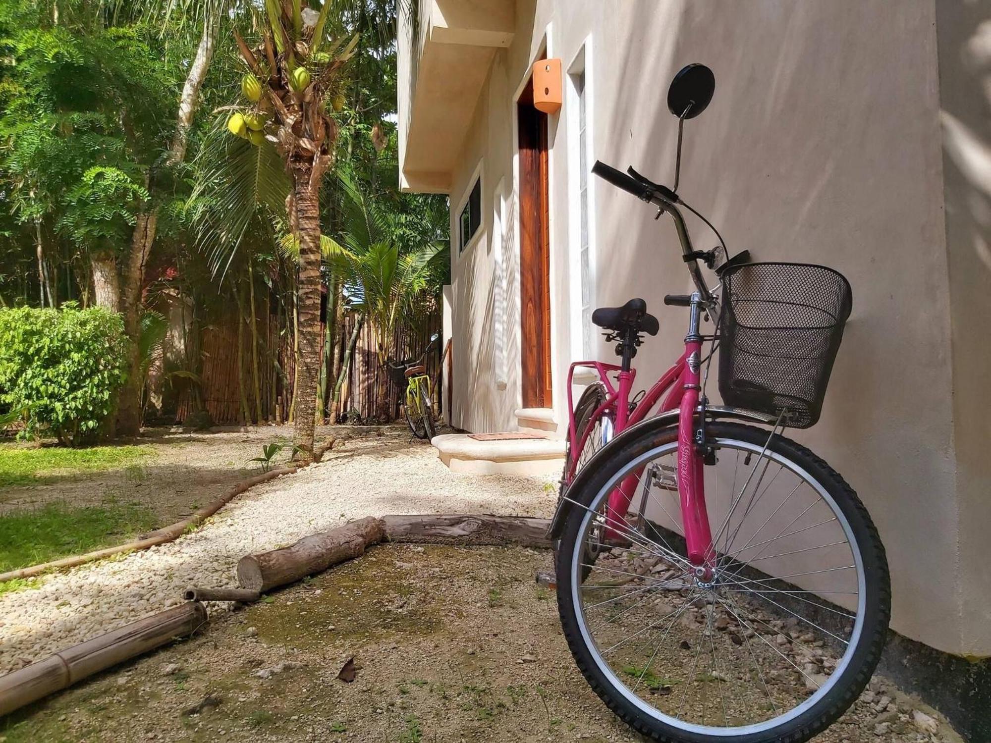 Mini Pini Birdwatching And Cenote Loft4 Only