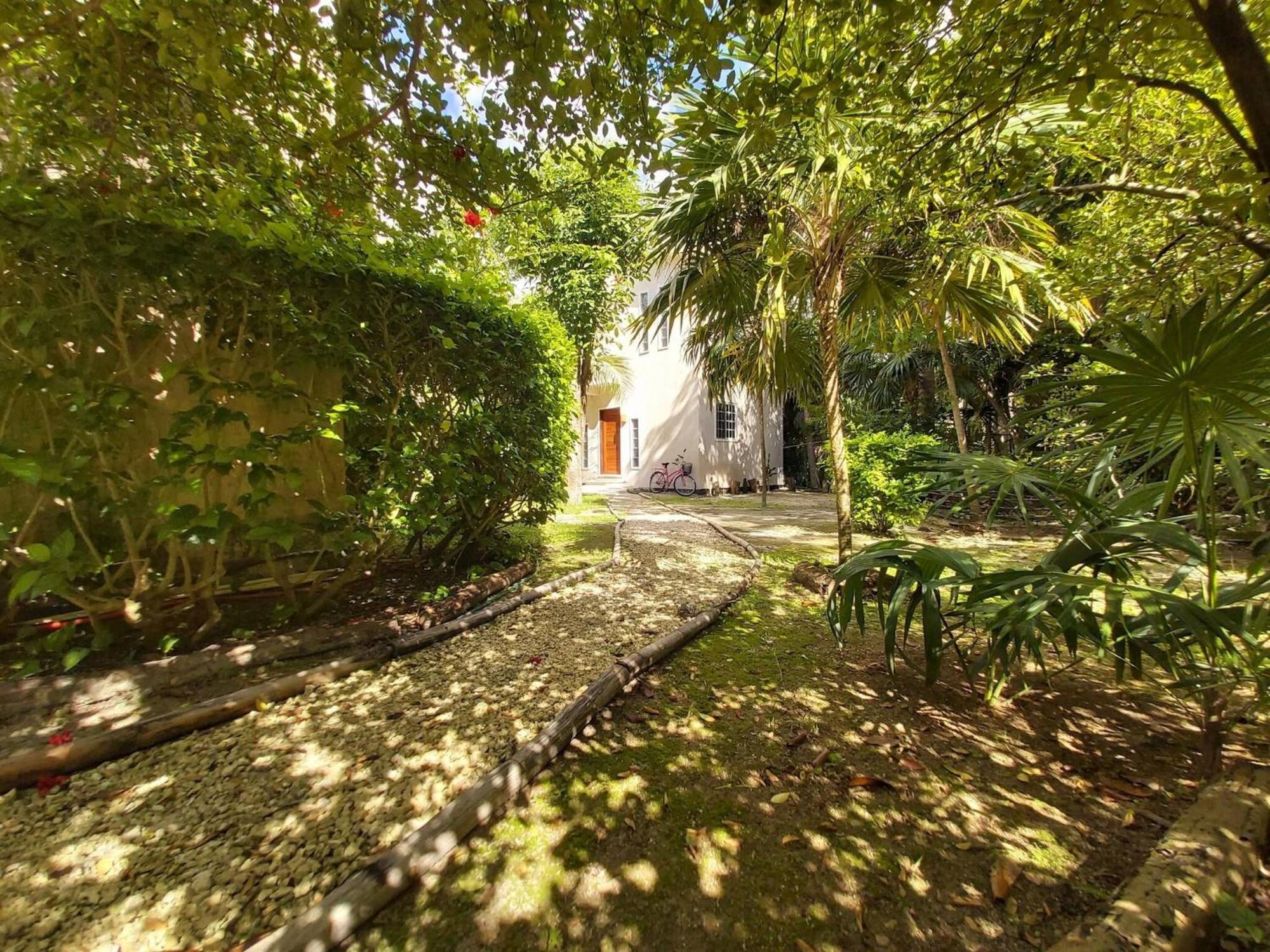 Hébergement de vacances Mini Pini Birdwatching And Cenote Loft4 Only