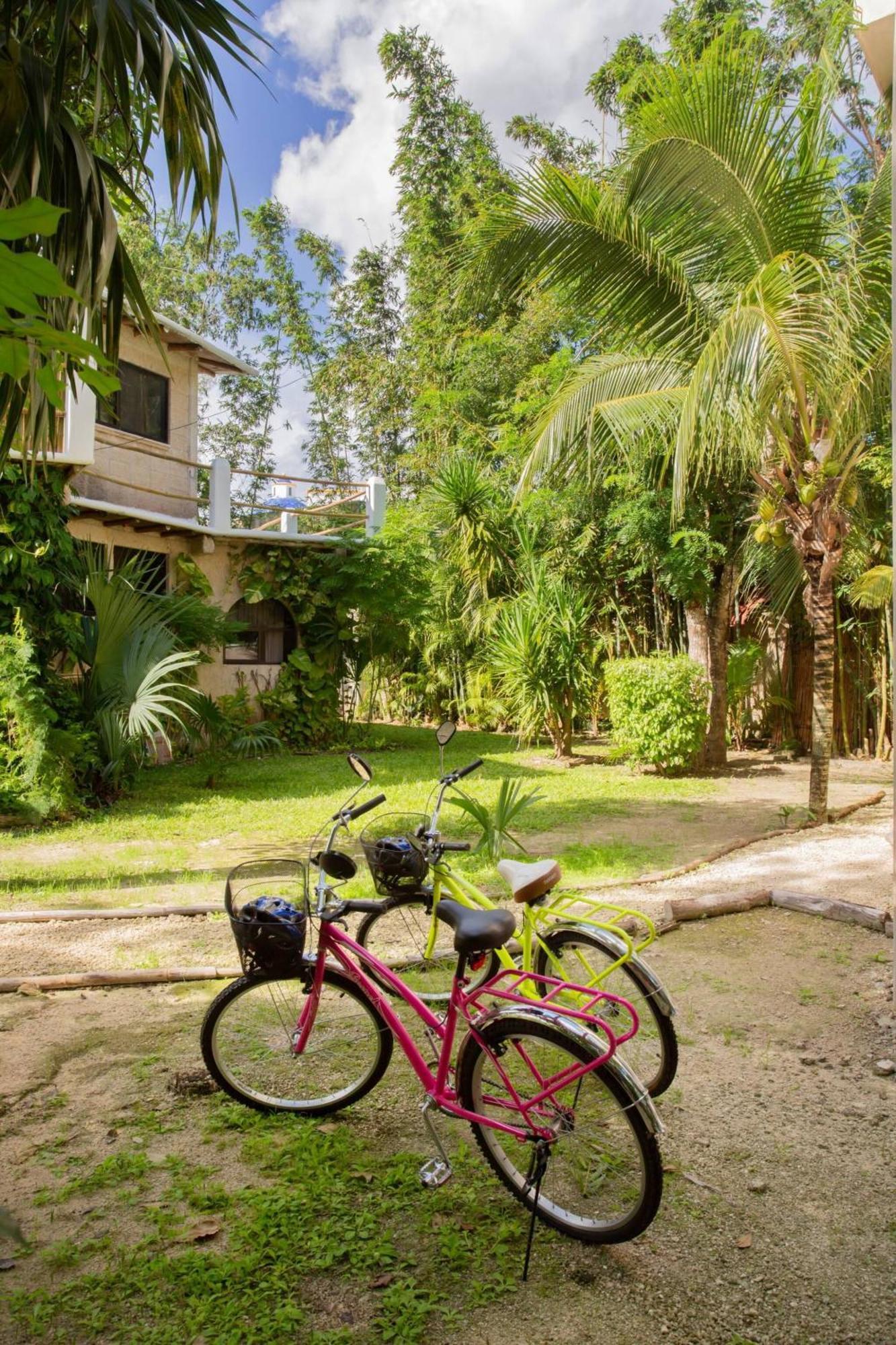 Mini Pini Birdwatching And Cenote Loft4 Only Hébergement de vacances