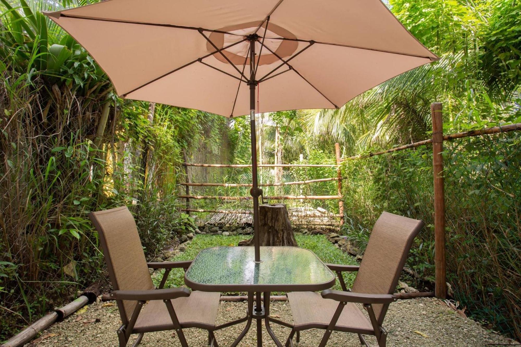 Mini Pini Birdwatching And Cenote Loft4 Only *
