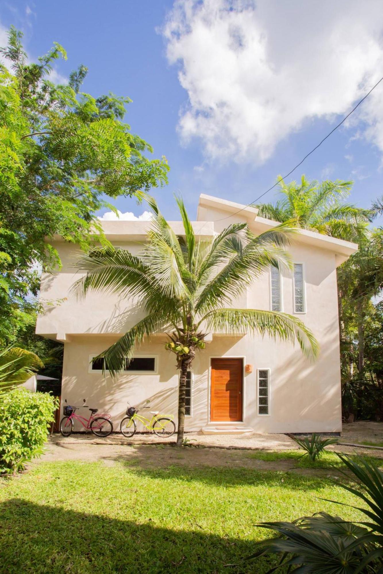 Mini Pini Birdwatching And Cenote Loft4 Only Hébergement de vacances